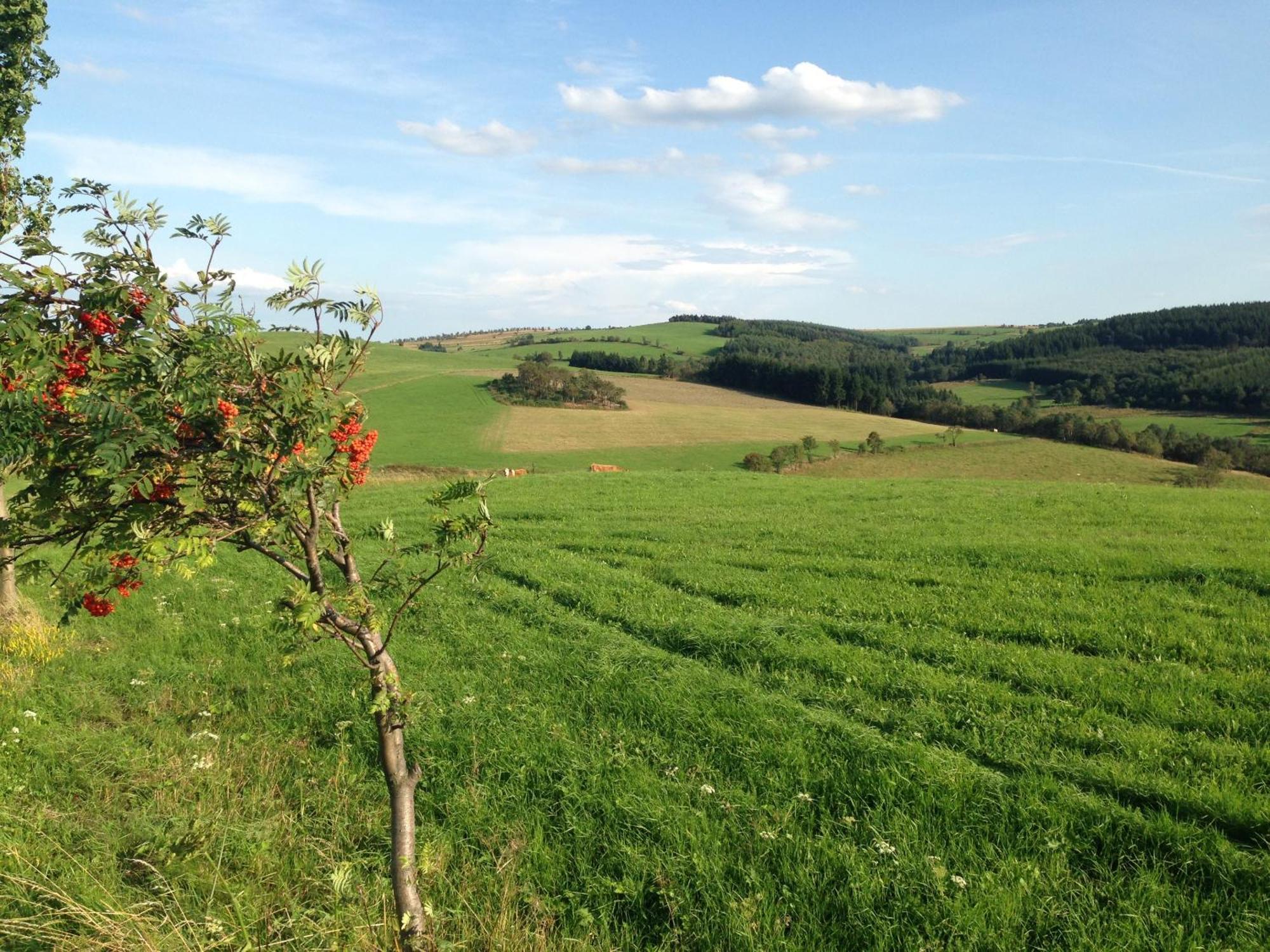 Ferienhaus Bikehuette Rehnhaeusl Geising Zewnętrze zdjęcie