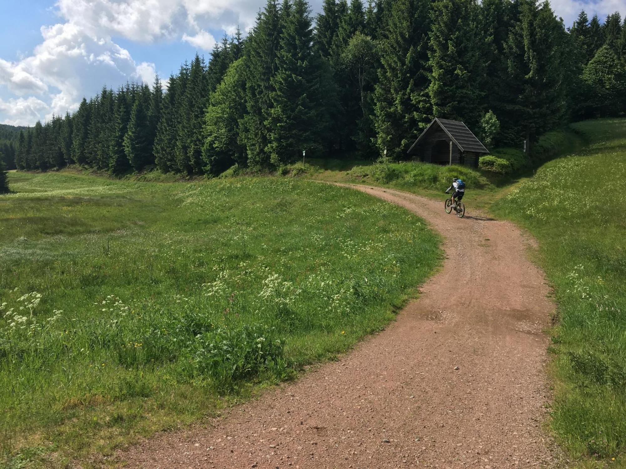 Ferienhaus Bikehuette Rehnhaeusl Geising Pokój zdjęcie